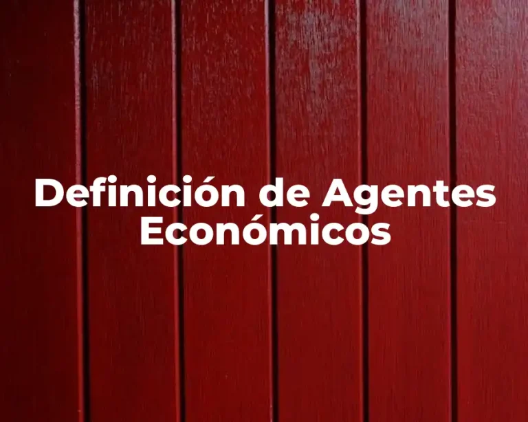 Definición de Agentes Económicos
