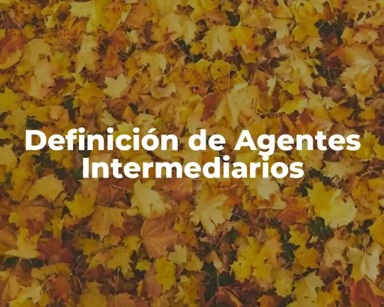Definición de Agentes Intermediarios