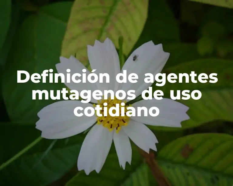 Definición de agentes mutagenos de uso cotidiano