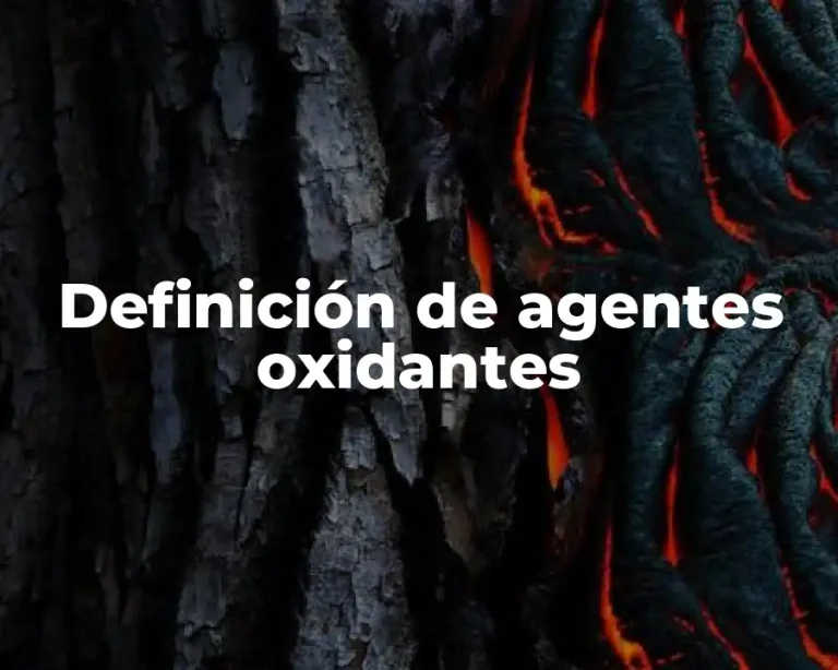 Definición de agentes oxidantes