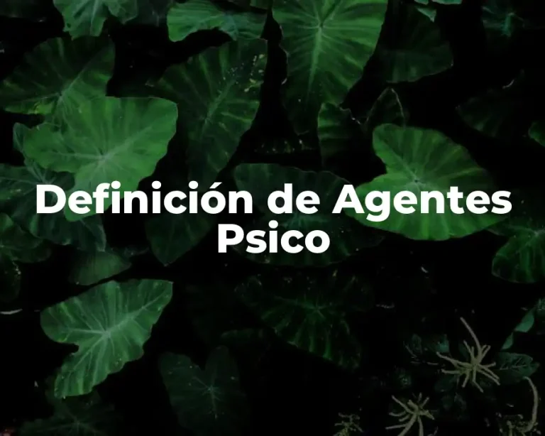 Definición de Agentes Psico