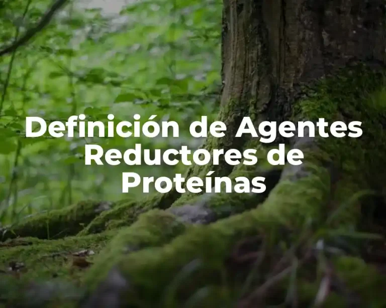 Definición de Agentes Reductores de Proteínas