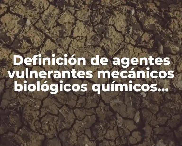 Definición de agentes vulnerantes mecánicos biológicos químicos físicos