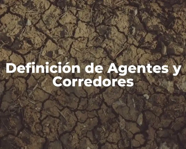 Definición de Agentes y Corredores