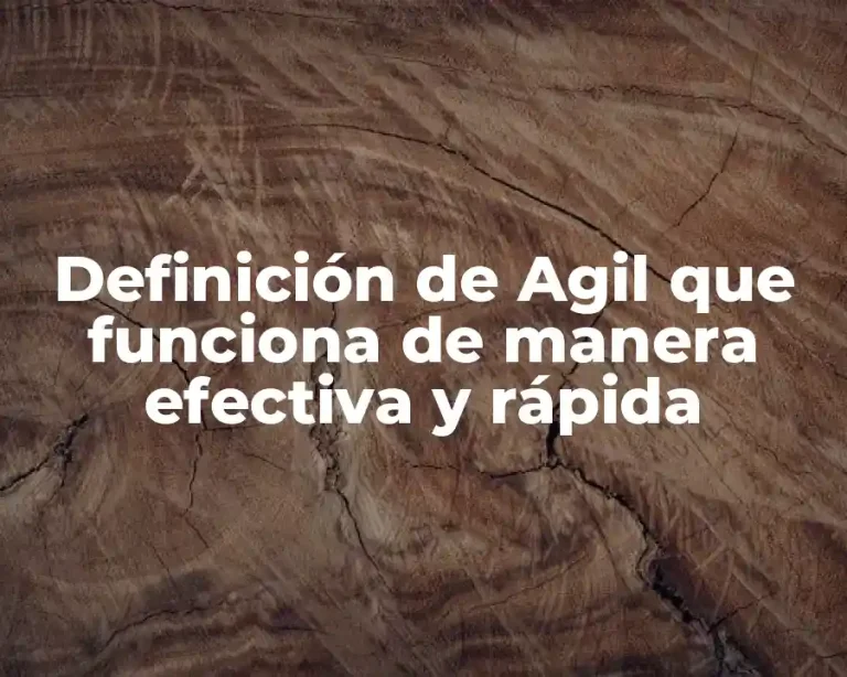 Definición de Agil que funciona de manera efectiva y rápida