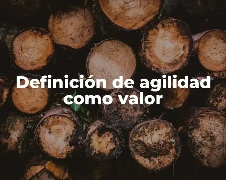 Definición de agilidad como valor