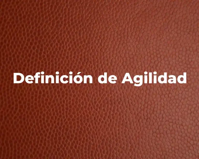 Definición de Agilidad