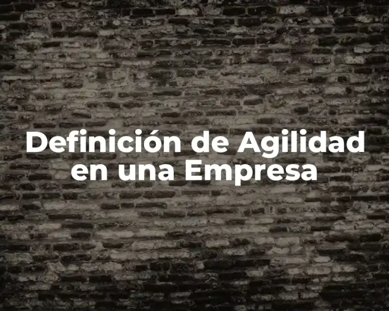 Definición de Agilidad en una Empresa