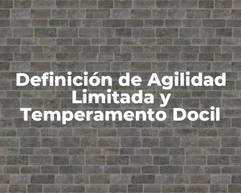 Definición de Agilidad Limitada y Temperamento Docil