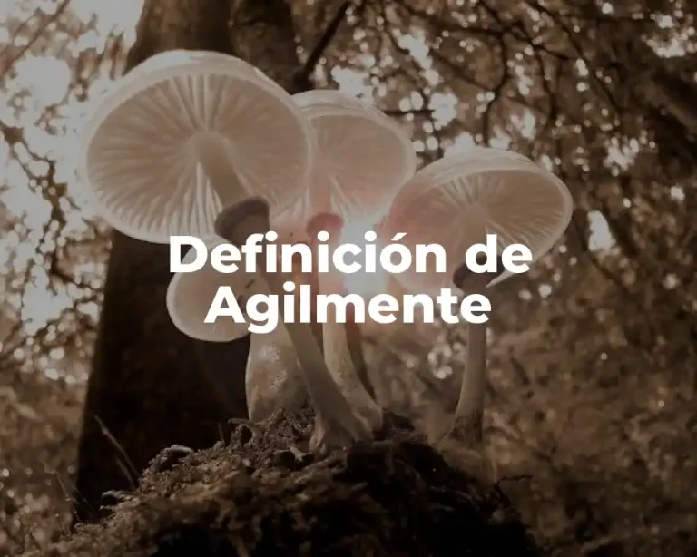 Definición de Agilmente