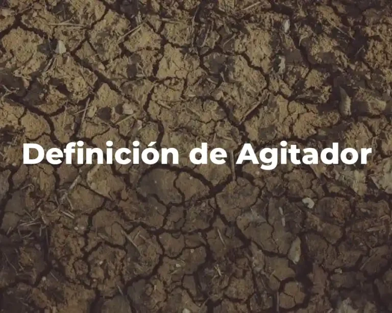 Definición de Agitador