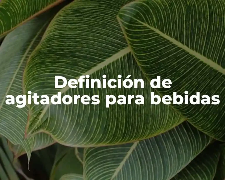 Definición de agitadores para bebidas