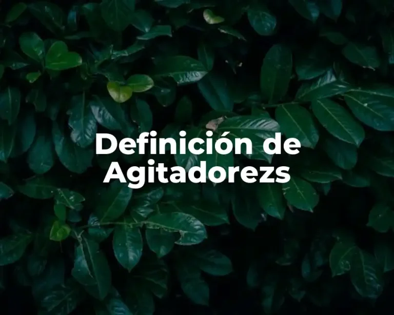 Definición de Agitadorezs