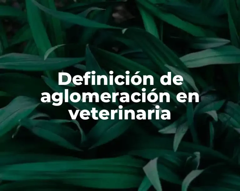 Definición de aglomeración en veterinaria