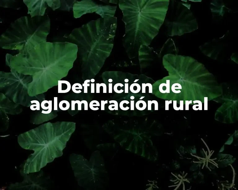 Definición de aglomeración rural