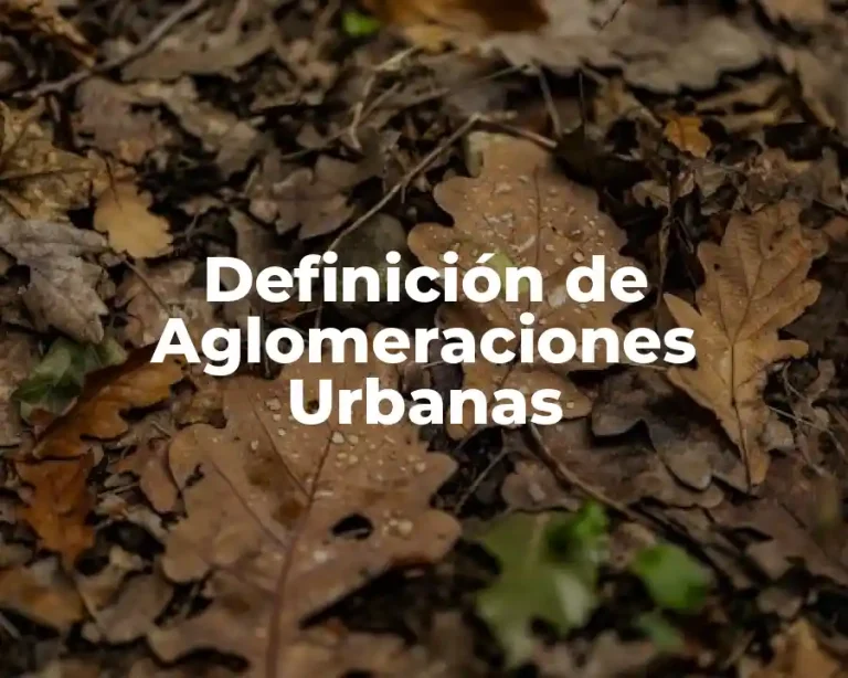 Definición de Aglomeraciones Urbanas