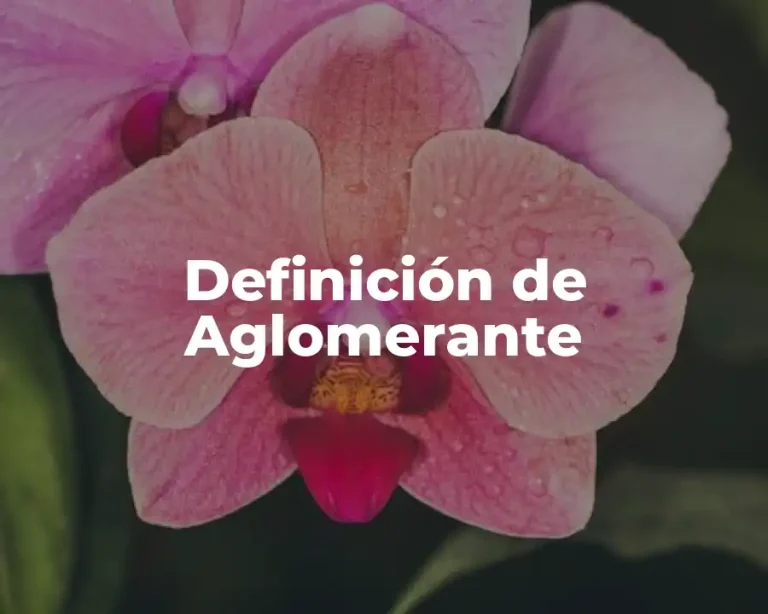 Definición de Aglomerante