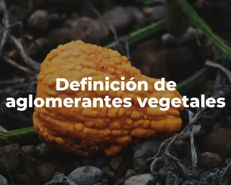 Definición de aglomerantes vegetales