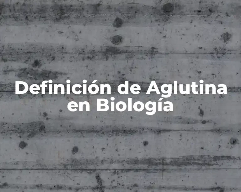 Definición de Aglutina en Biología