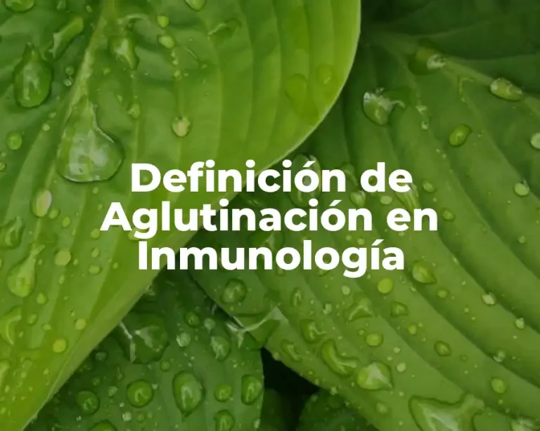 Definición de Aglutinación en Inmunología