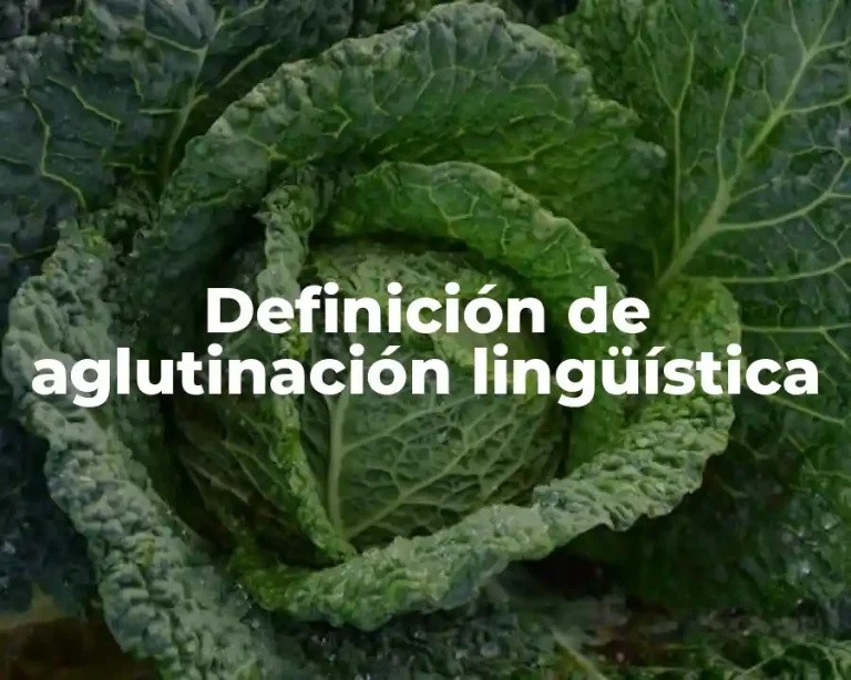 Definición de aglutinación lingüística