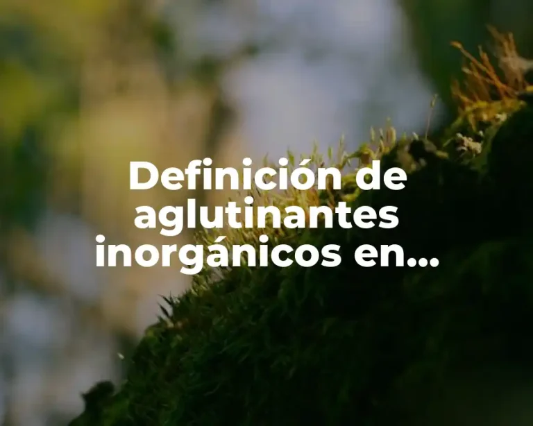 Definición de aglutinantes inorgánicos en construcción