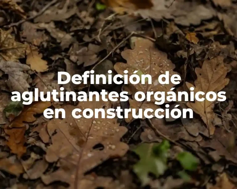 Definición de aglutinantes orgánicos en construcción
