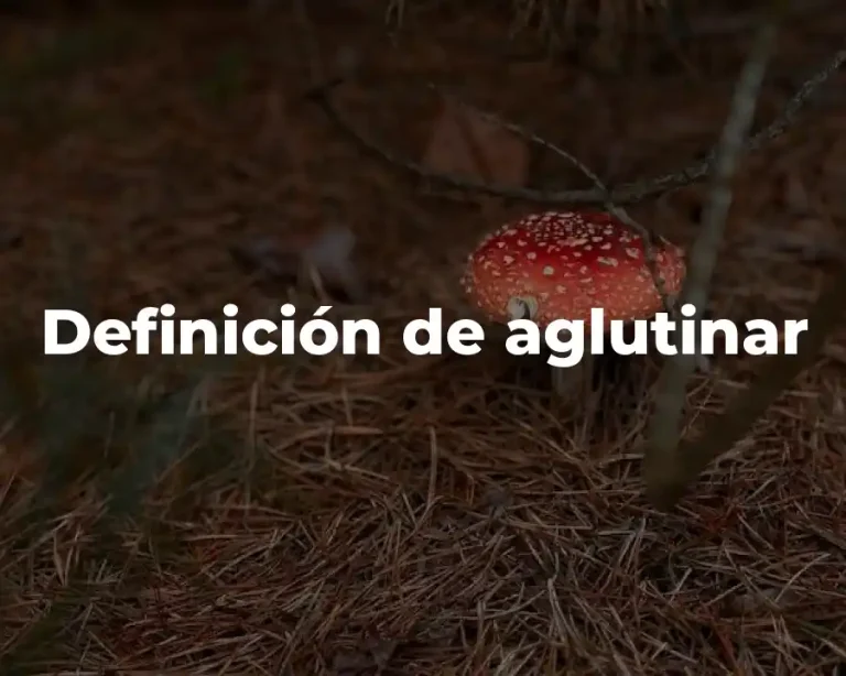 Definición de aglutinar