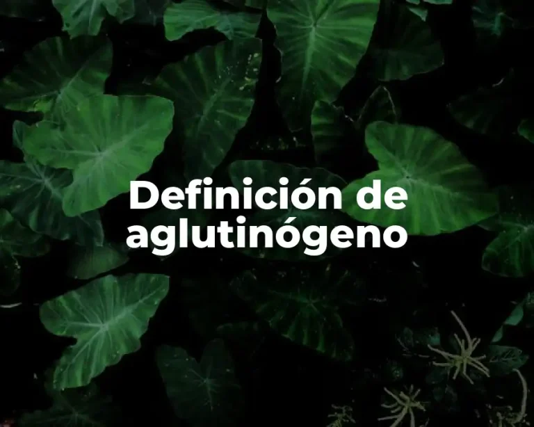 Definición de aglutinógeno