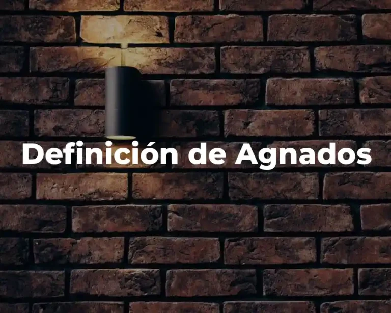 Definición de Agnados