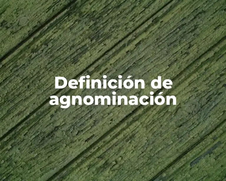 Definición de agnominación