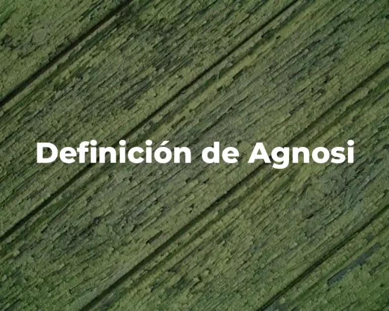 Definición de Agnosi