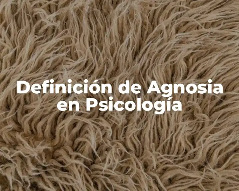 Definición de Agnosia en Psicología