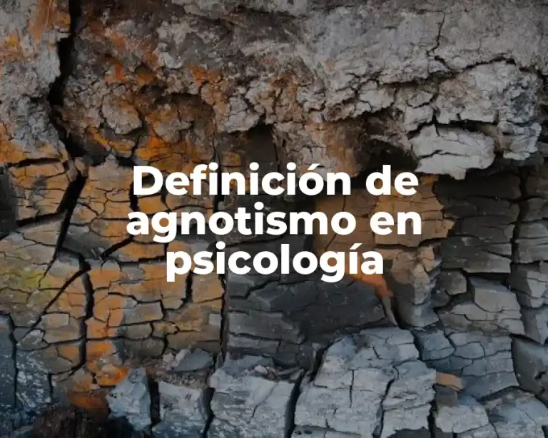 Definición de agnotismo en psicología