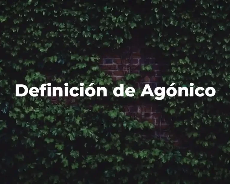 Definición de Agónico