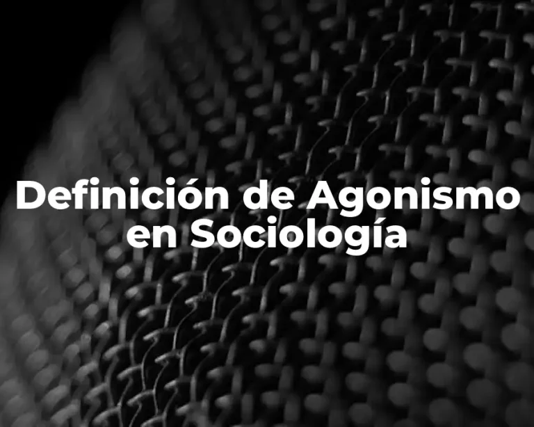 Definición de Agonismo en Sociología