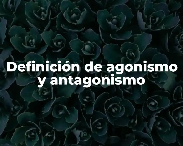 Definición de agonismo y antagonismo