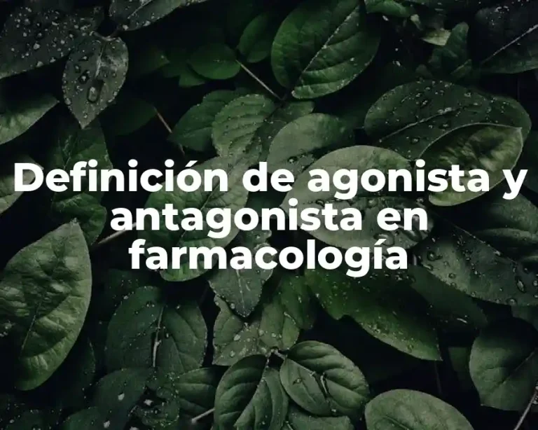 Definición de agonista y antagonista en farmacología