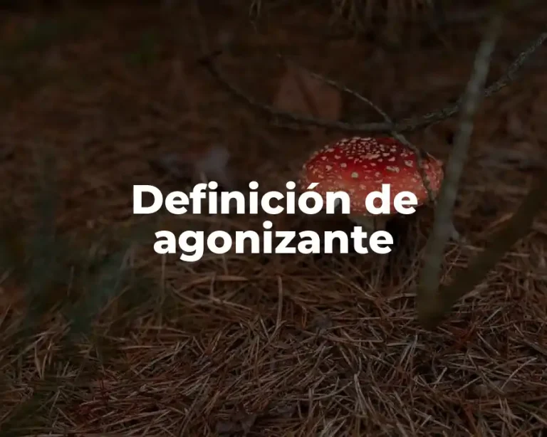 Definición de agonizante