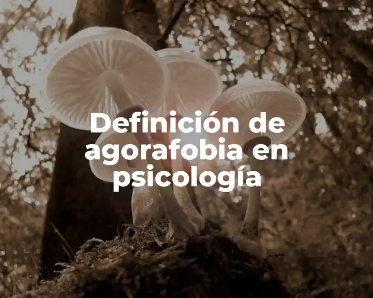 Definición de agorafobia en psicología