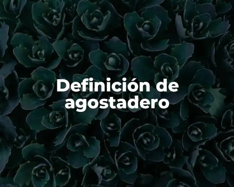 Definición de agostadero