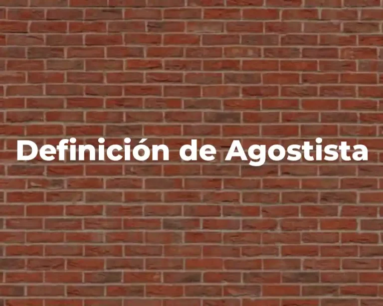 Definición de Agostista