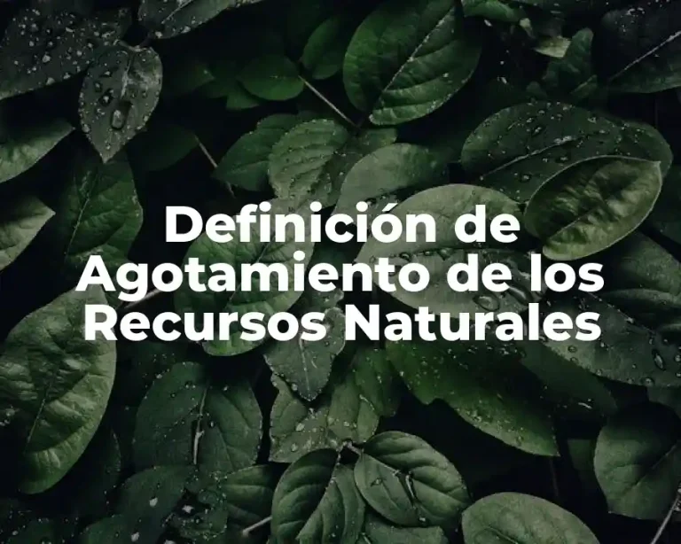 Definición de Agotamiento de los Recursos Naturales