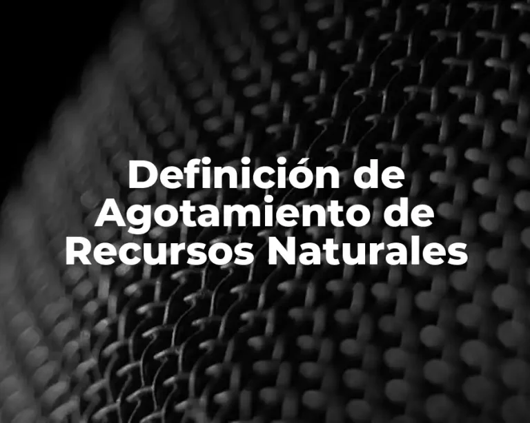 Definición de Agotamiento de Recursos Naturales