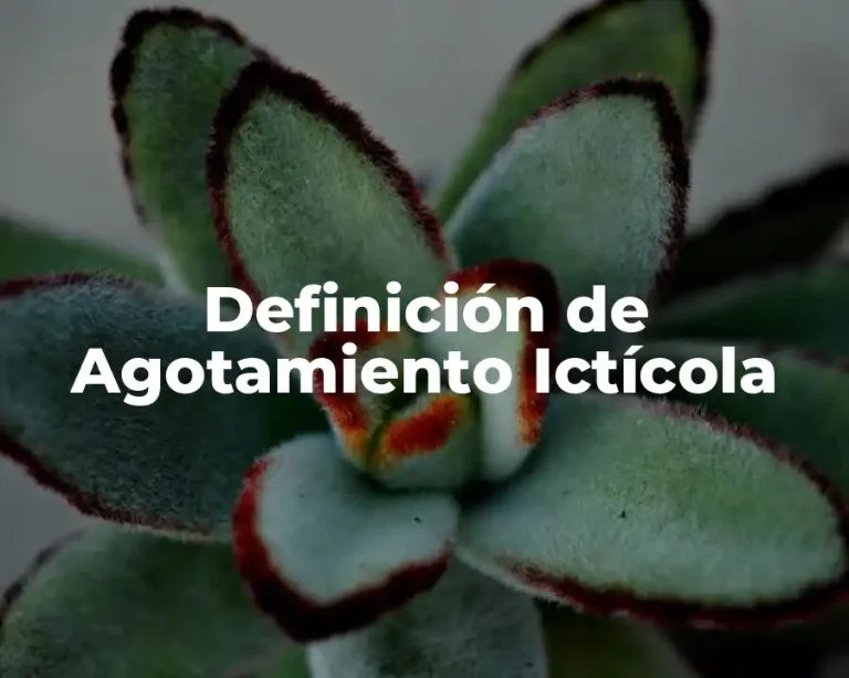 Definición de Agotamiento Ictícola