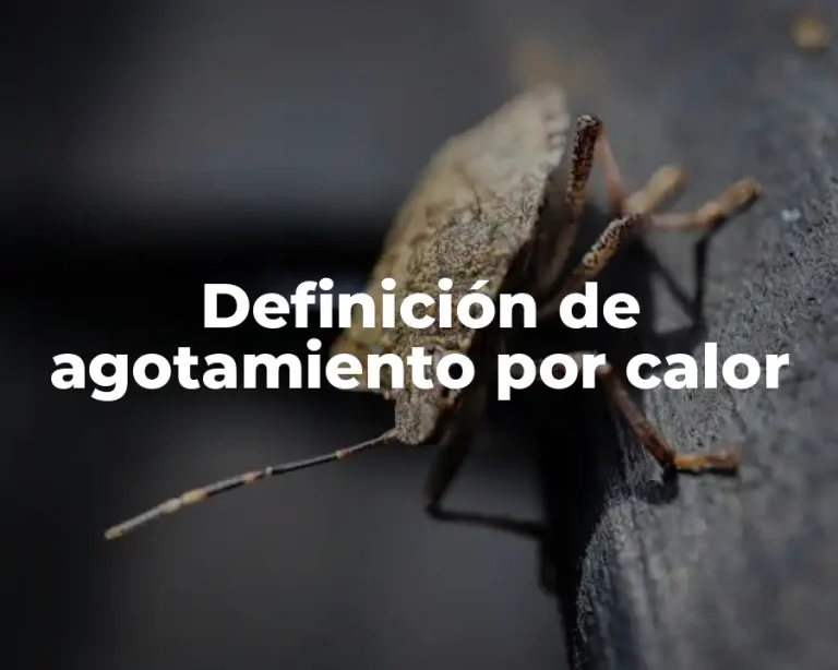 Definición de agotamiento por calor