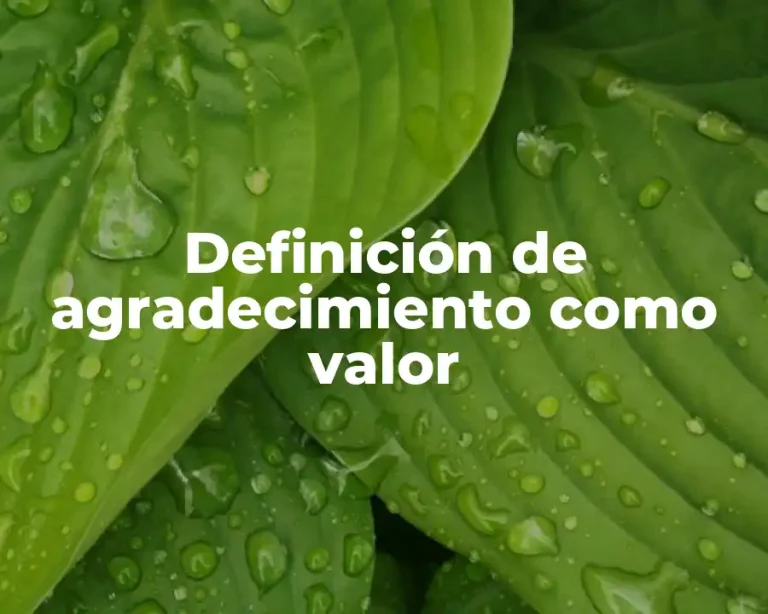 Definición de agradecimiento como valor