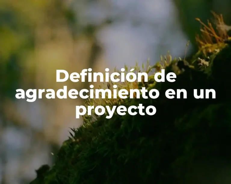 Definición de agradecimiento en un proyecto