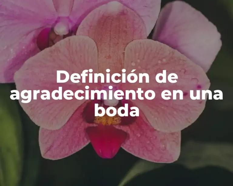 Definición de agradecimiento en una boda