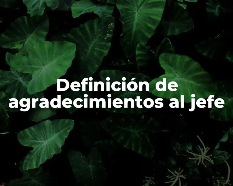 Definición de agradecimientos al jefe